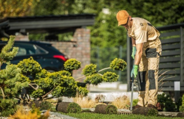 Stone Paving